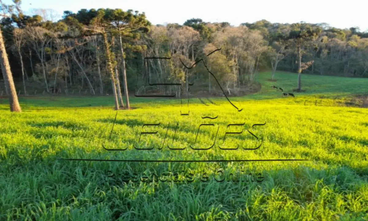 LOTE 01 - Fração de 20.357,14m², situada na localidade da Linha Esquina Bonita, no município de São Pedro das Missões/RS. Imóvel este dentro de um todo maior objeto da matrícula nº 3457 do Cartório de Registro de Imóveis de Palmeira das Missões/RS.
