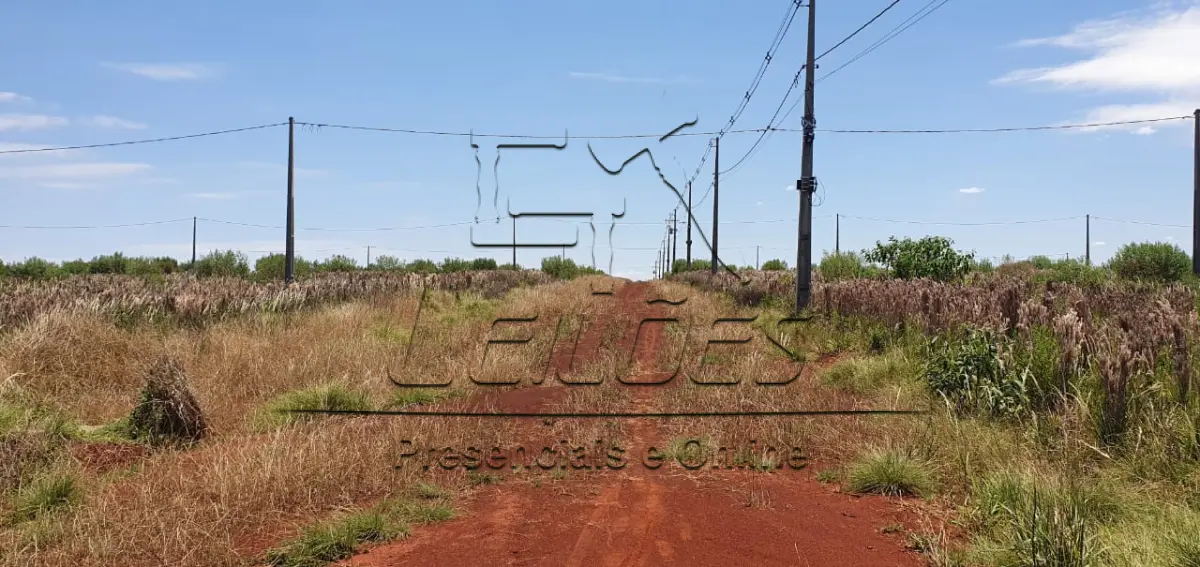 LOTE 00 - 62 terrenos no Loteamento Werlang, em Selbach/RS