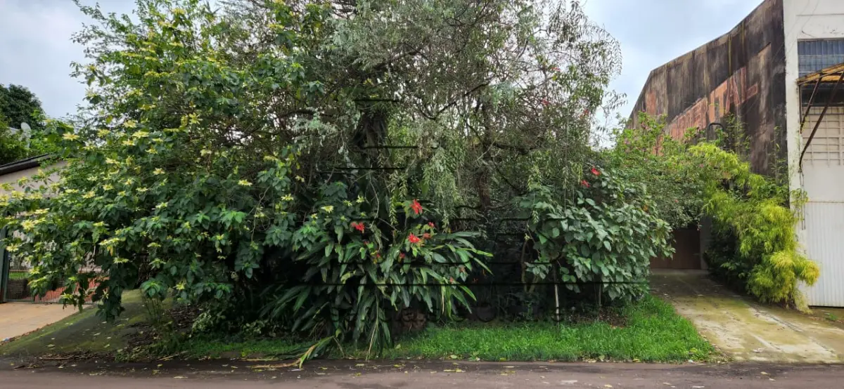 LOTE C-010 - Um terreno urbano com a área de 405,00m², com uma casa, situado no lado par da Rua São Paulo, distante 27m da esquina com a Rua Paraná, Bairro Oriental, nesta cidade de Carazinho. Imóvel objeto da matrícula nº 7.621 do livro 2-RG do Registro de Imóveis de Carazinho/RS.