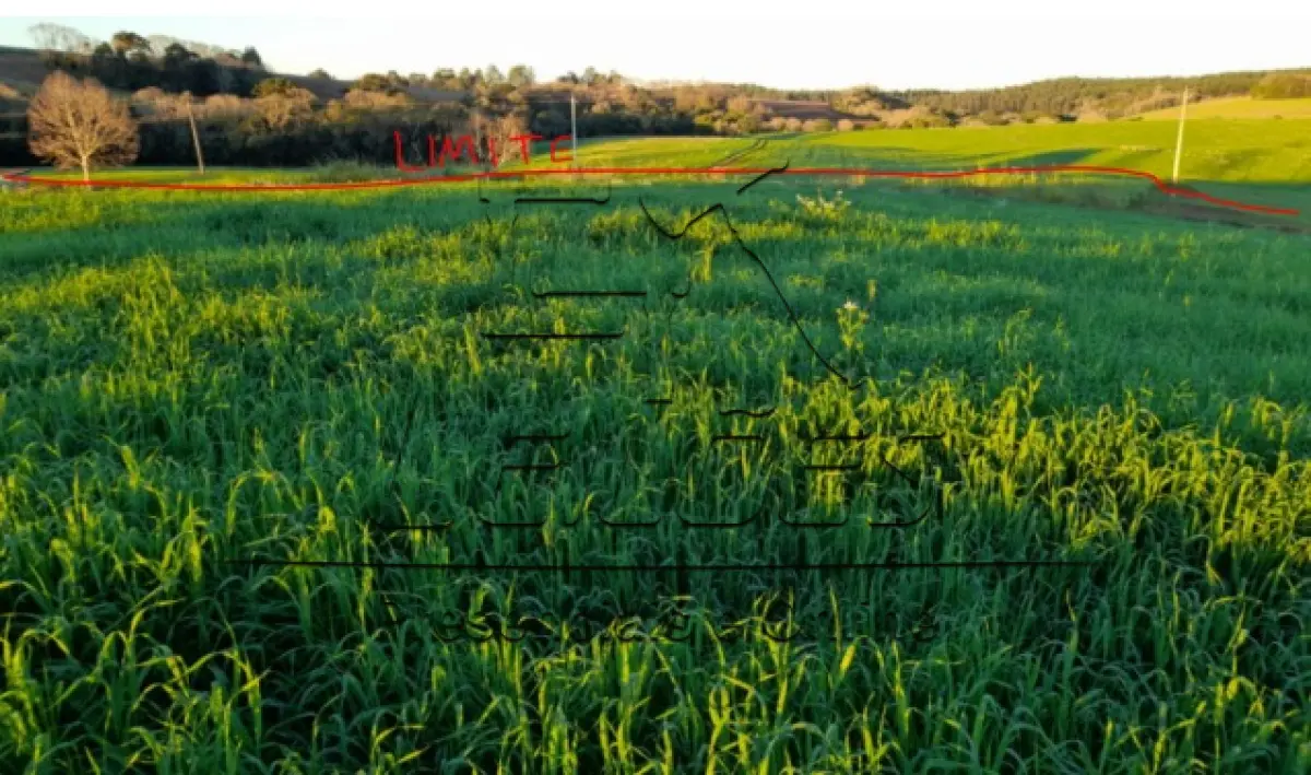 LOTE 01 - Fração de 20.357,14m², situada na localidade da Linha Esquina Bonita, no município de São Pedro das Missões/RS. Imóvel este dentro de um todo maior objeto da matrícula nº 3457 do Cartório de Registro de Imóveis de Palmeira das Missões/RS.