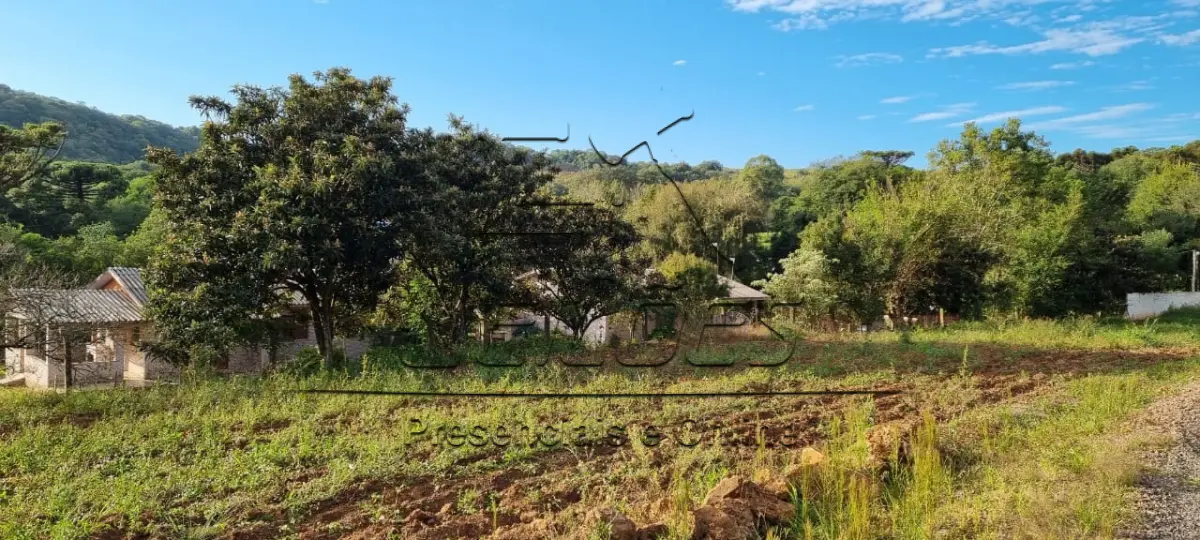 LOTE 01 - Área de terras de 8,7983ha com casa, piscina, galpões, mangueira e açude. Matrícula nº 8.436 do Registro de Imóveis de Soledade/RS.