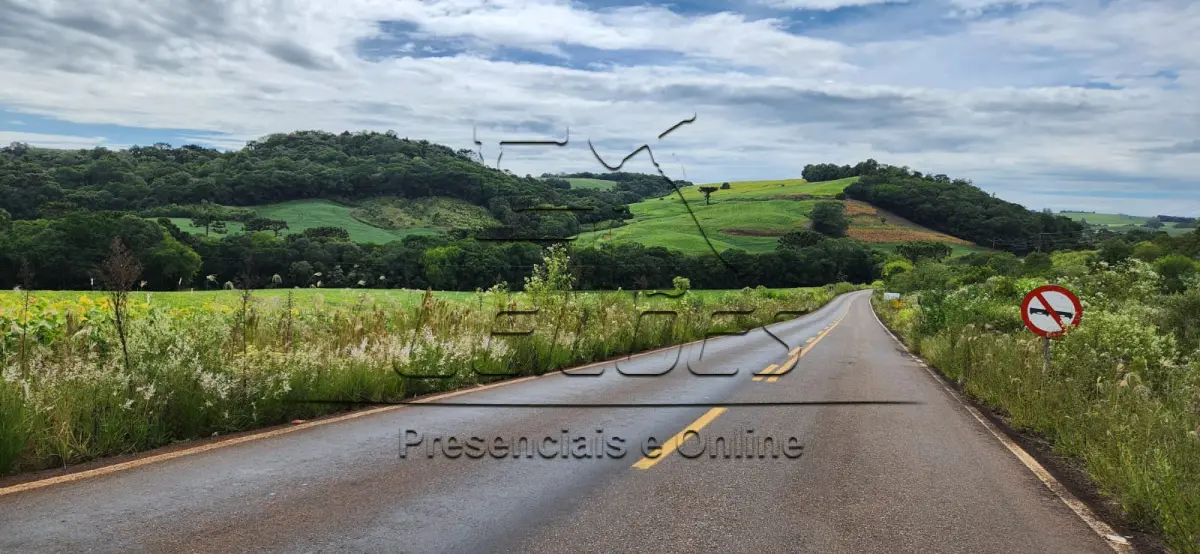 LOTE 001 - Área 6,25ha de terras situada em Colônia Coqueiros, município de Coqueiros do Sul, RS. Matrícula nº 28.378.