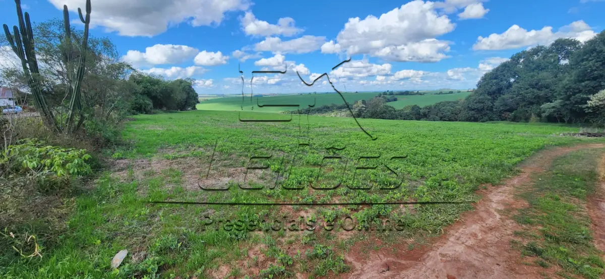 LOTE 002 - Fração ideal de terras de campo com a área de 2,823333ha, correspondente a 1/3 (um terço) do todo maior objeto da matrícula nº 12.888 do livro 2-RG do Registro de Imóveis de Carazinho, situada no lugar denominado Santa Tereza, neste município de Carazinho