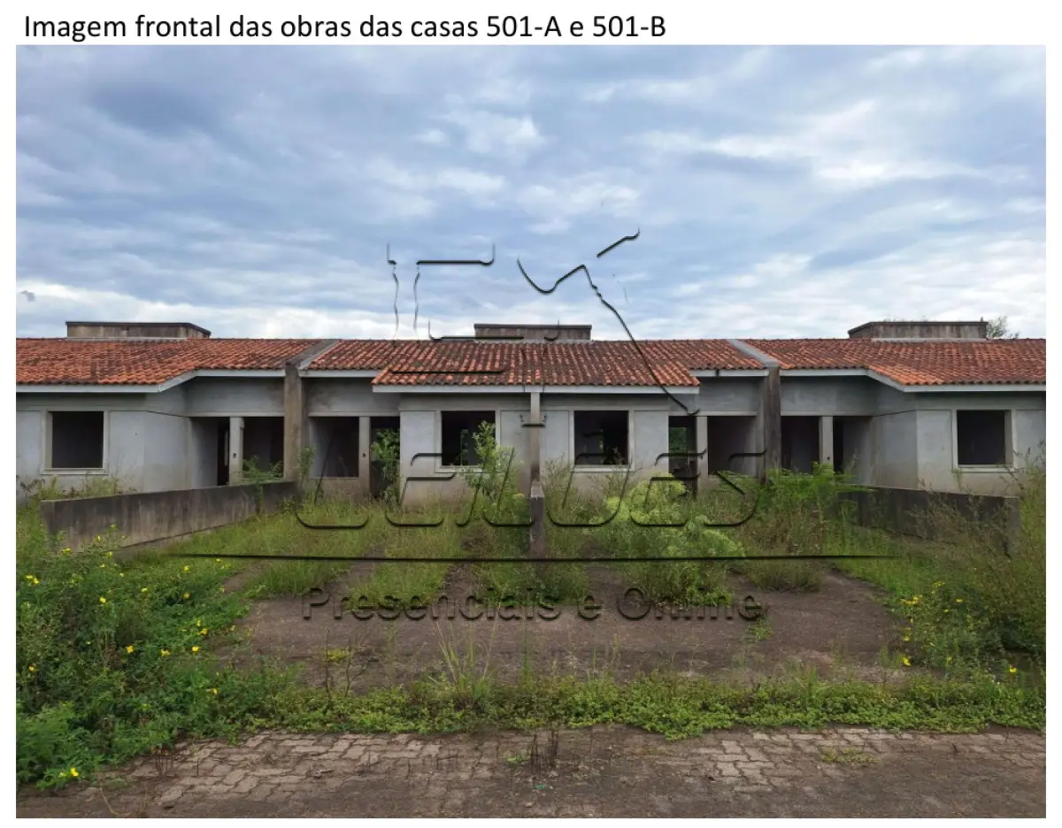 LOTE 029
