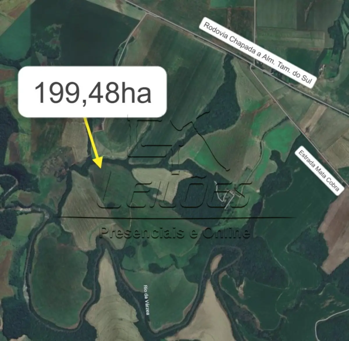 LOTE X-001 - Uma área de terras de cultura com a área 199,48ha, situada em Almirante Tamandaré do Sul, localidade de Mata Cobra. Matrícula 795 do Registro de Imóveis de Carazinho