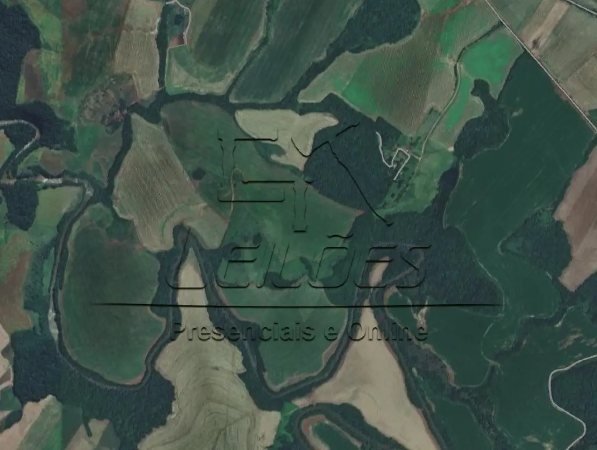 LOTE X-001 - Uma área de terras de cultura com a área 199,48ha, situada em Almirante Tamandaré do Sul, localidade de Mata Cobra. Matrícula 795 do Registro de Imóveis de Carazinho