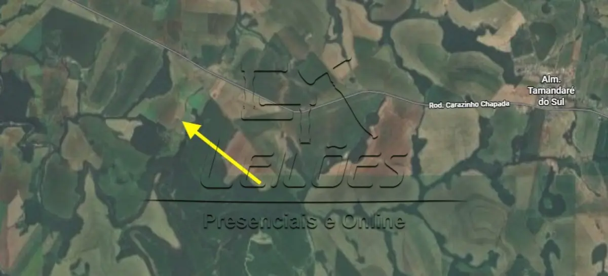 LOTE X-001 - Uma área de terras de cultura com a área 199,48ha, situada em Almirante Tamandaré do Sul, localidade de Mata Cobra. Matrícula 795 do Registro de Imóveis de Carazinho