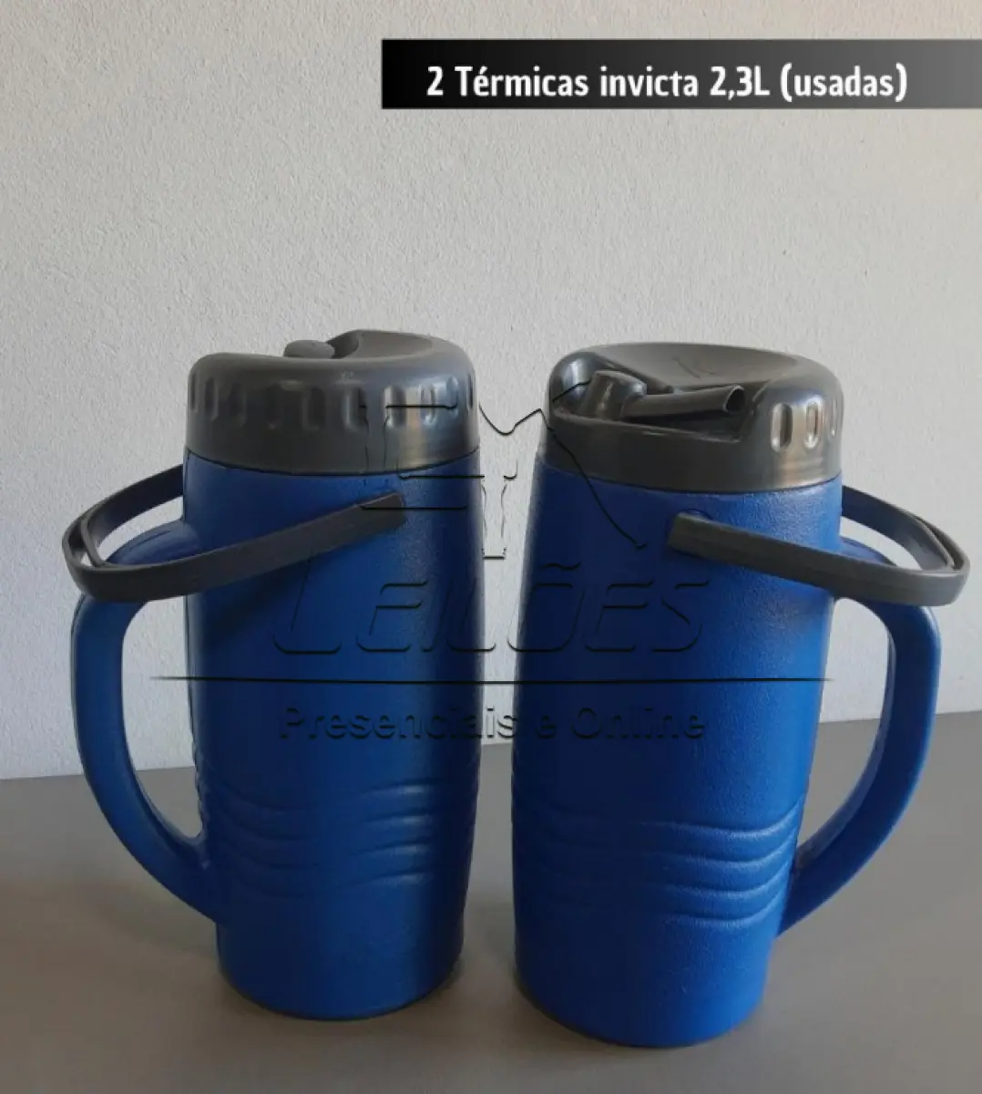 LOTE 051 - 02 térmicas Invicta 2,3l