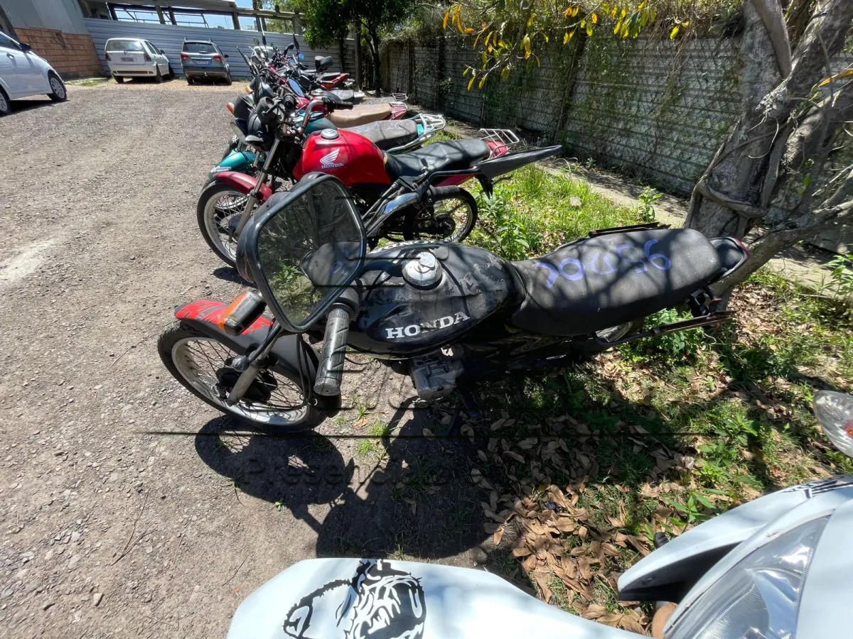 LOTE 0095