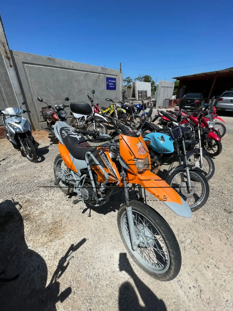 LOTE 0043