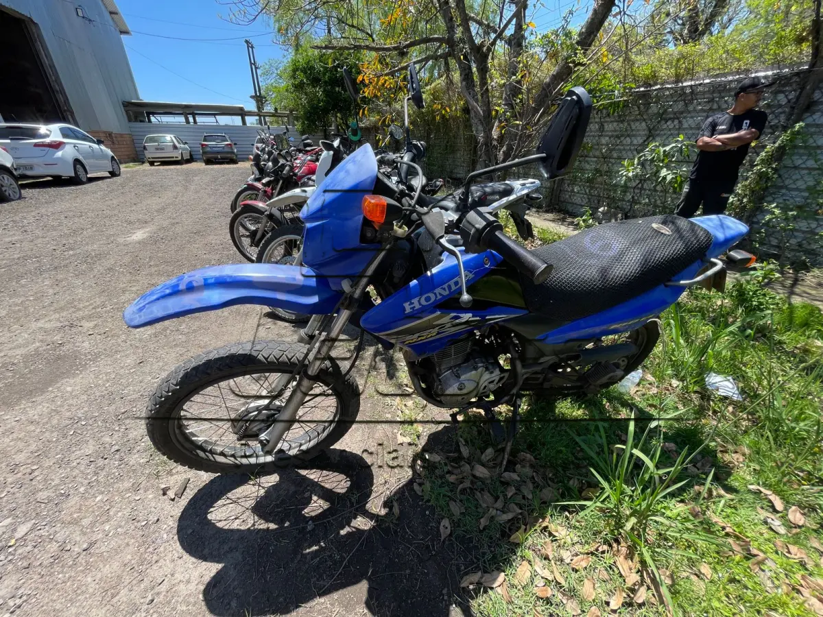 LOTE 0097