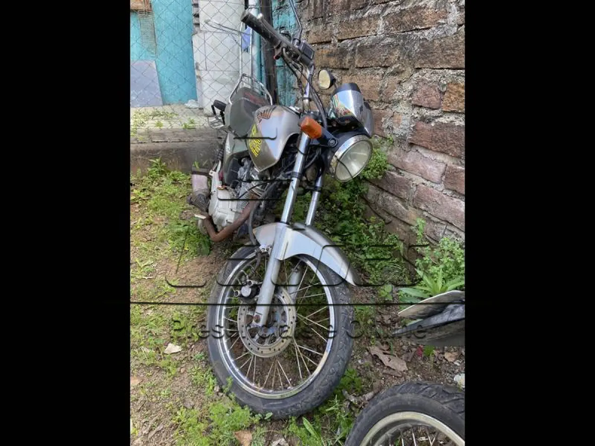 LOTE 0015