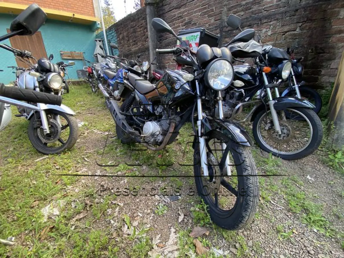 LOTE 0055