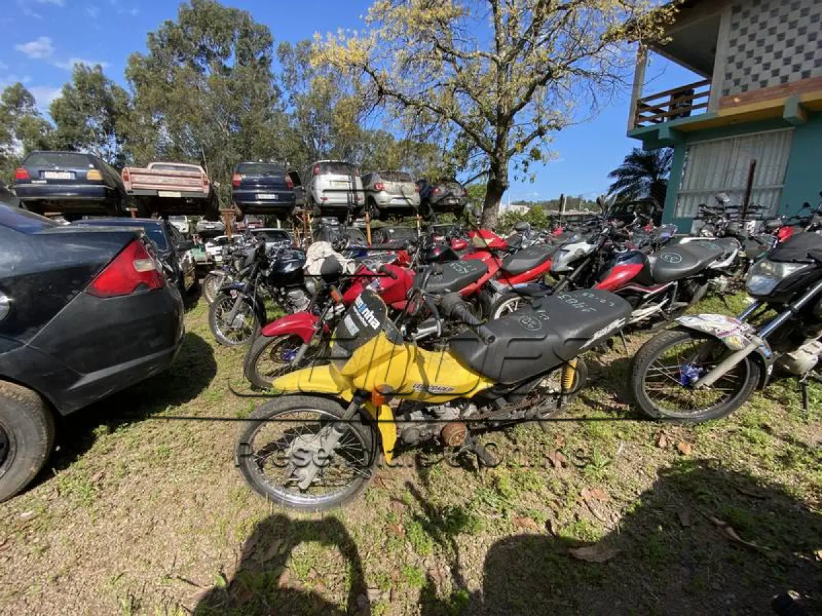 LOTE 0042