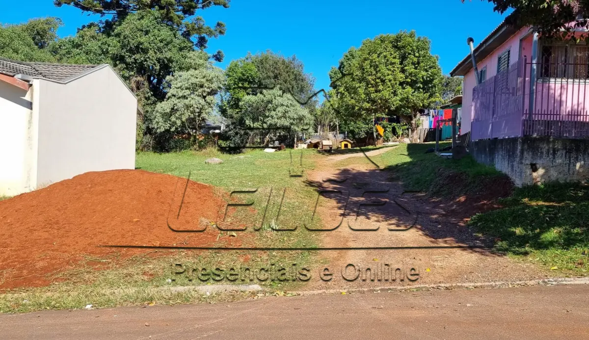 LOTE 02