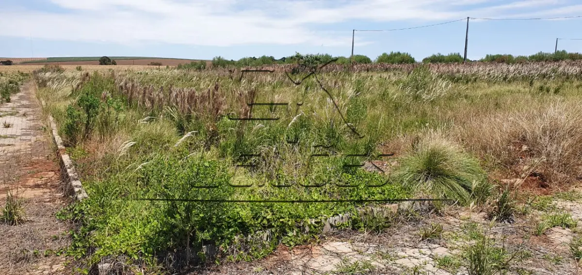 LOTE 00 - 62 terrenos no Loteamento Werlang, em Selbach/RS