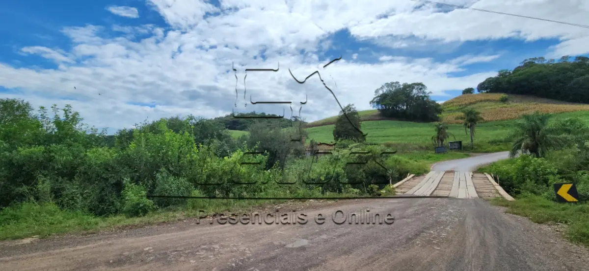 LOTE 001 - Área 6,25ha de terras situada em Colônia Coqueiros, município de Coqueiros do Sul, RS. Matrícula nº 28.378.