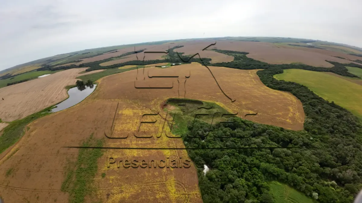 LOTE C-001 - Uma fração de terras com a área de 120,6252ha, situada no lugar denominado Fazenda Chapada, Primeiro Distrito, município de Santa Bárbara do Sul/RS