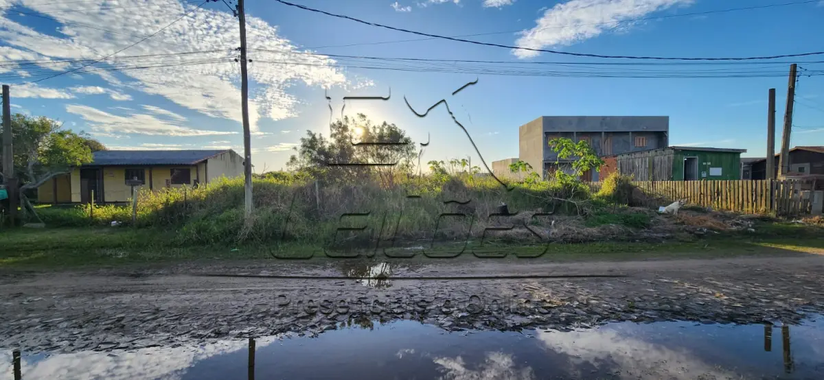 LOTE 002b