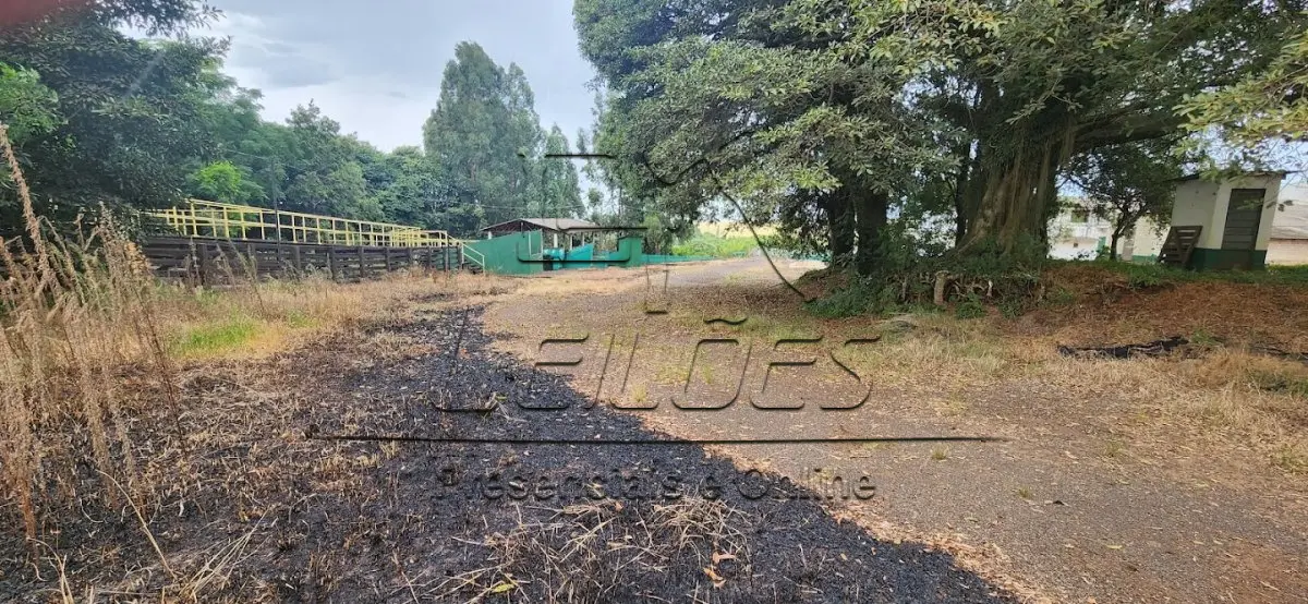 LOTE 002 - Uma fração de terras com a área de 16.445m², com todas as acessões e benfeitorias existentes, situada no Distrito de São Bento, neste município de Carazinho. As acessões e benfeitorias não se acham averbadas, porém, penhoradas e assim citadas: Um complexo frigorífico e suas benfeitorias, tais como, uma casa residencial em alvenaria com a área de 166m², um refeitório de alvenaria, com quatro garagens, com a área de 184m², um pavilhão frigorífico com a área de 1.240m², um pavilhão de alvenaria e madeira para garagem com a área de 600m², oito mangueiras de concreto e madeira, oito tanques de decantação com base de alvenaria e três açudes. Matrícula nº 10.203 do livro 2-RG do Registro de Imóveis de Carazinho.