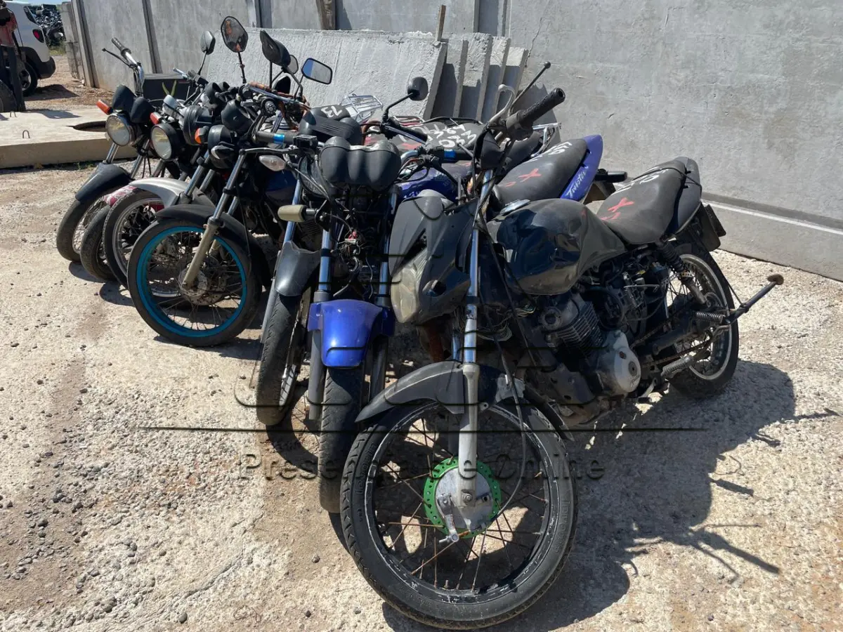 LOTE 0003