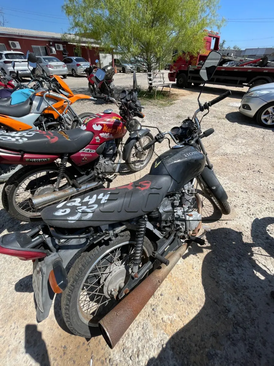 LOTE 0029