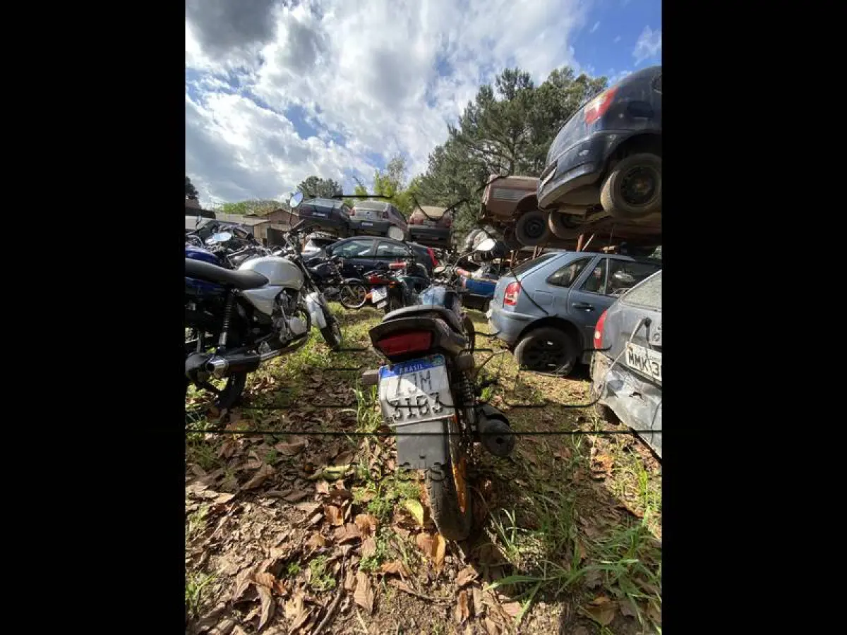 LOTE 0065