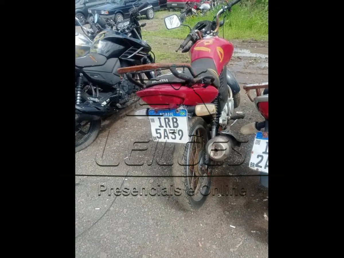 LOTE 0128