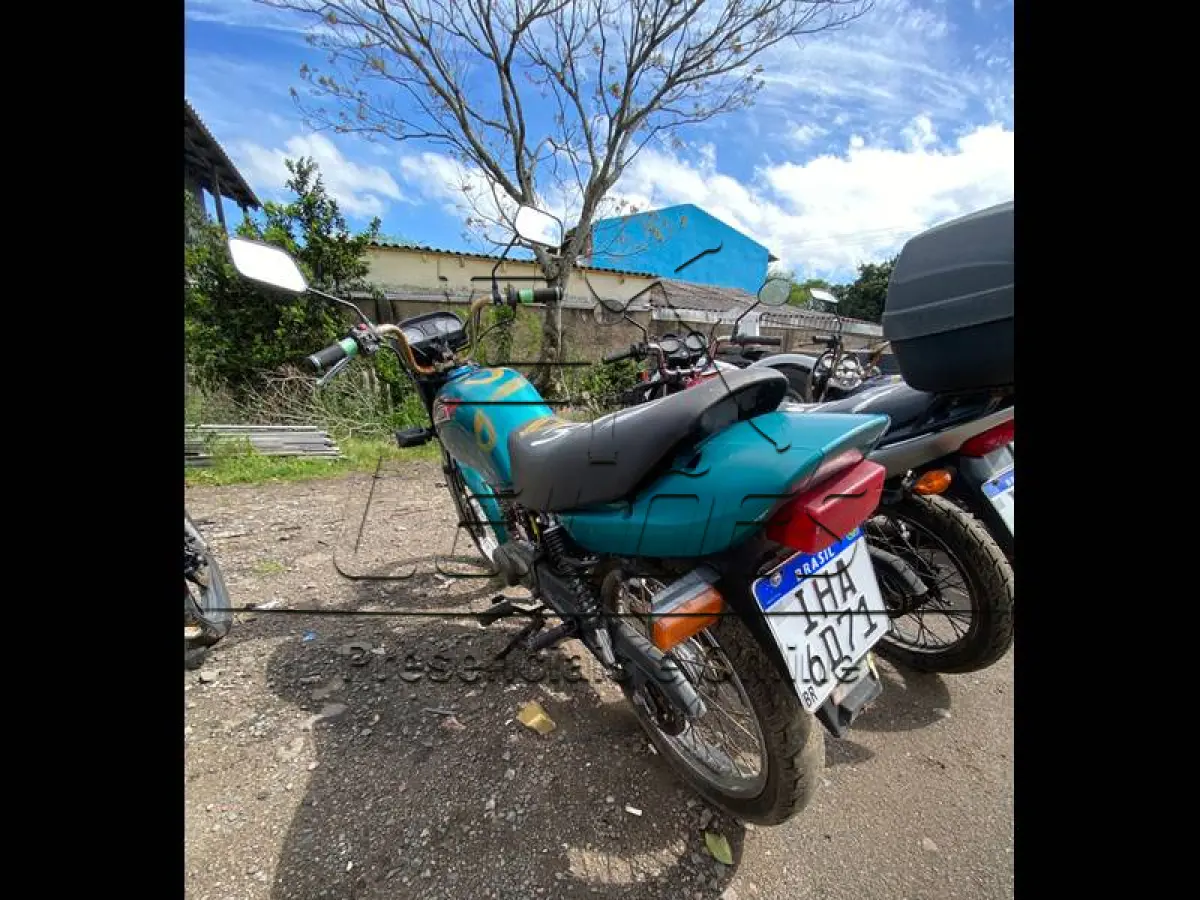 LOTE 0131