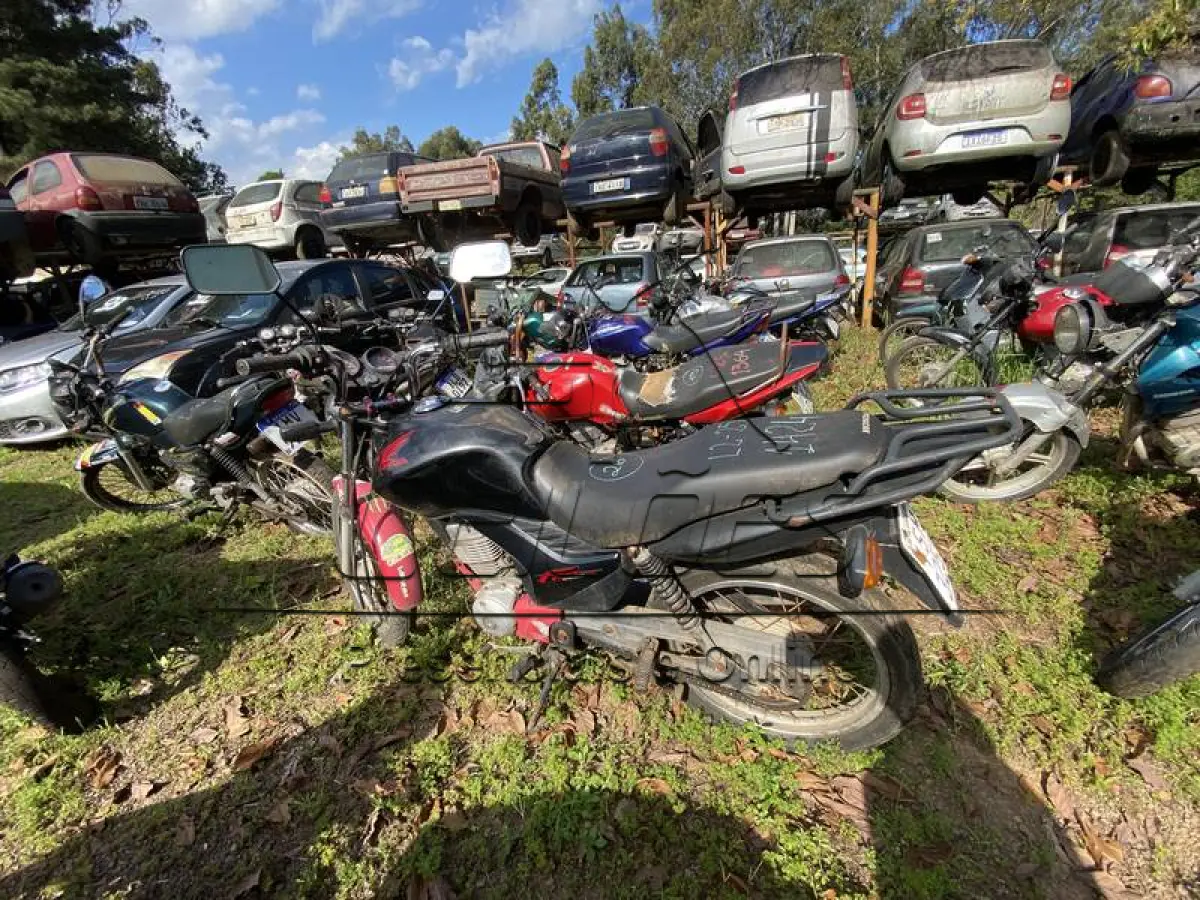 LOTE 0026