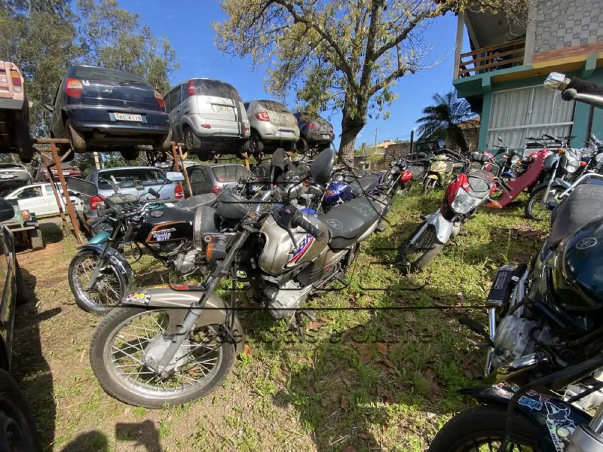 LOTE 0031