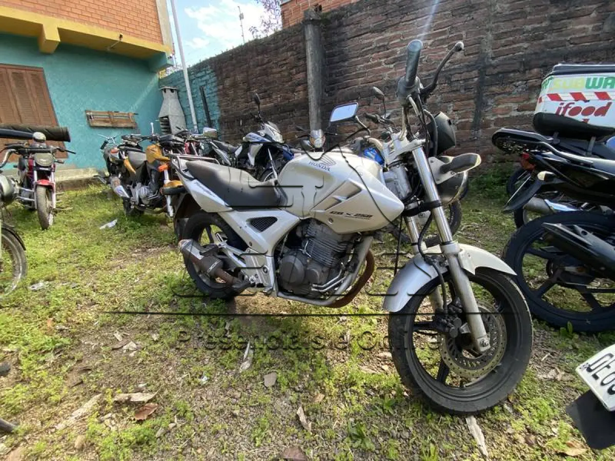LOTE 0059