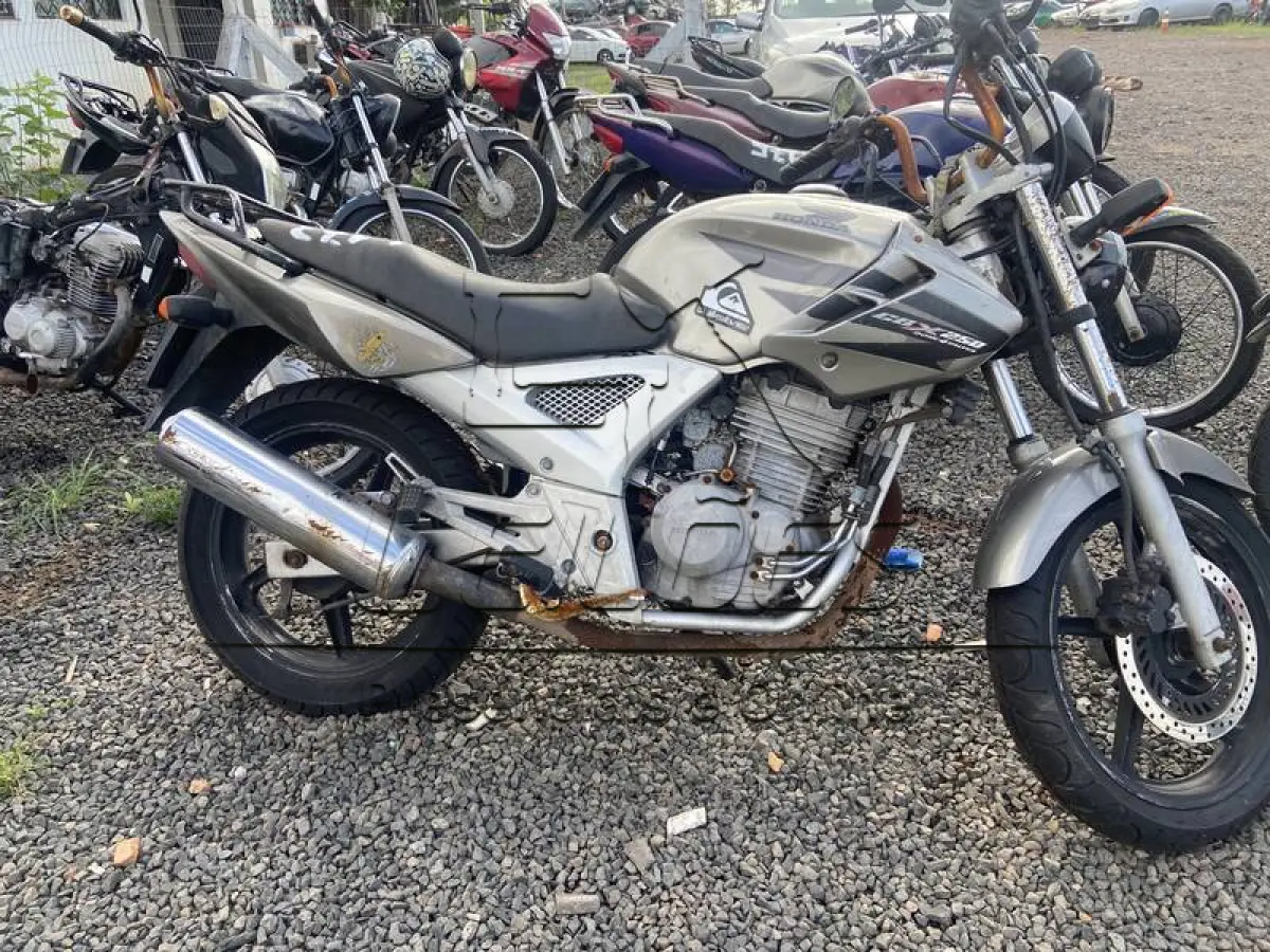 LOTE 0173