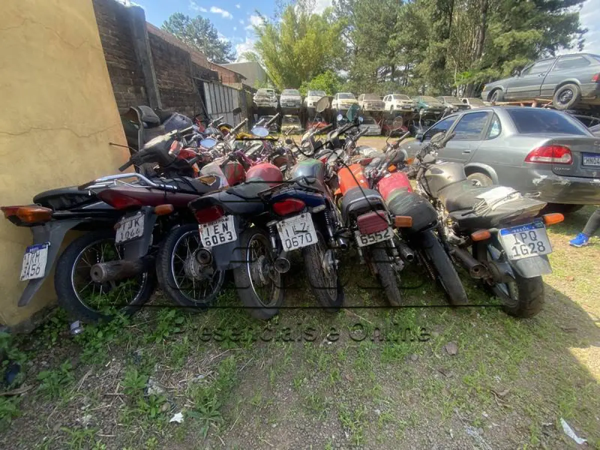 LOTE 0001
