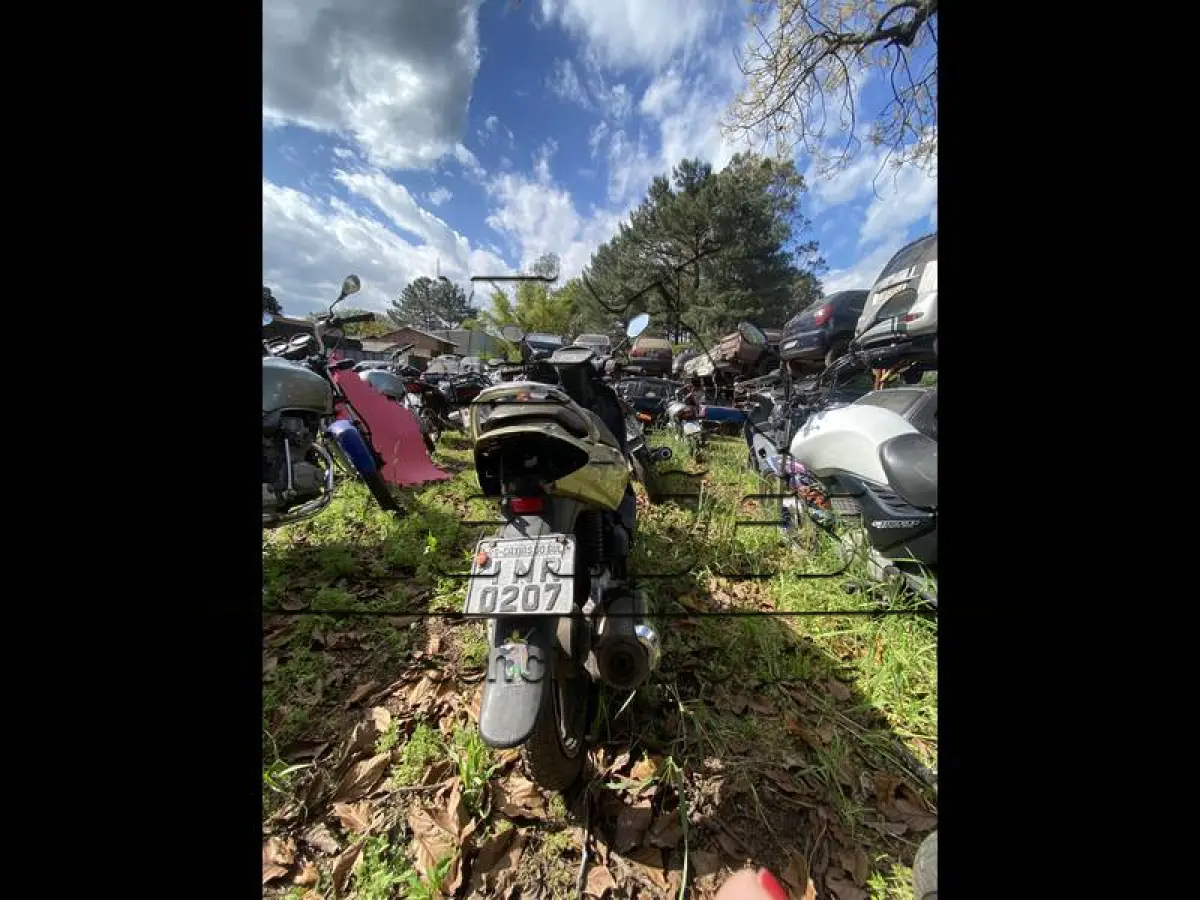LOTE 0061