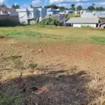 TERRENO URBANO SEM BENFEITORIAS COM A ÁREA DE 325M², SITUADO NA RUA IMIGRANTES PORTUGUESES, LOTE 52 DA QUADRA 467, LOTEAMENTO RESIDENCIAL VIVENDA  DOS IMIGRANTES II, NA CIDADE DE NÃO-ME-TOQUE/RS
