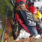 Foto 1