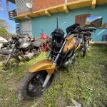 Foto 4
