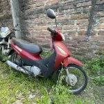 Foto 2