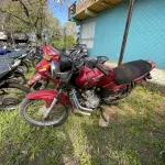 Foto 3